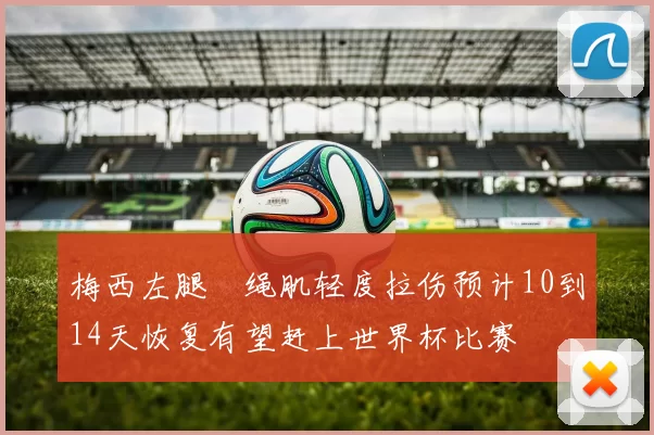 梅西左腿腘绳肌轻度拉伤预计10到14天恢复有望赶上世界杯比赛